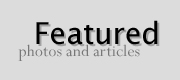 Featured articles and photos